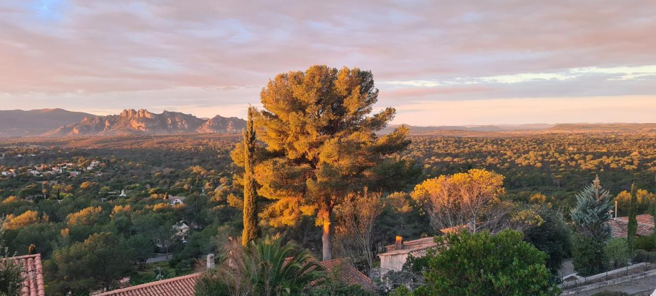 Corniche Du Paradis Roquebrune-sur-Argens Exterior foto